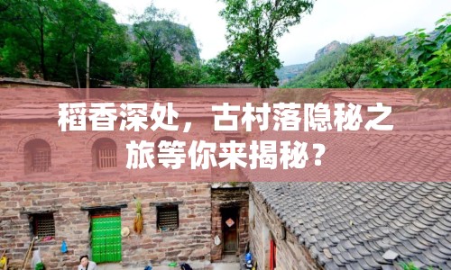 稻香深處，古村落隱秘之旅等你來揭秘？