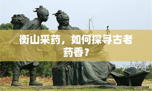 衡山采藥，如何探尋古老藥香？