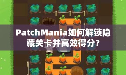 PatchMania如何解鎖隱藏關(guān)卡并高效得分？