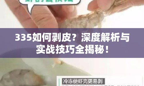 335如何剝皮？深度解析與實(shí)戰(zhàn)技巧全揭秘！