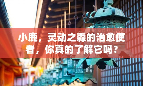 小鹿，靈動之森的治愈使者，你真的了解它嗎？