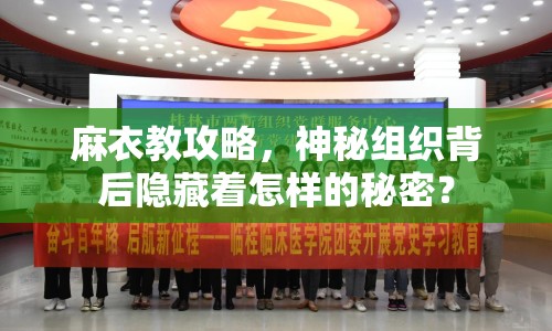 麻衣教攻略，神秘組織背后隱藏著怎樣的秘密？