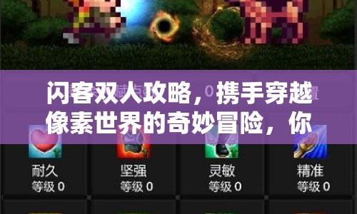 閃客雙人攻略，攜手穿越像素世界的奇妙冒險，你準(zhǔn)備好了嗎？