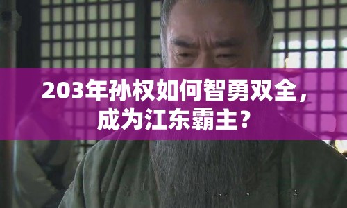 203年孫權(quán)如何智勇雙全，成為江東霸主？