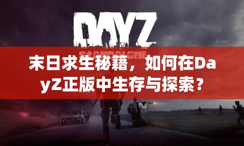 末日求生秘籍，如何在DayZ正版中生存與探索？
