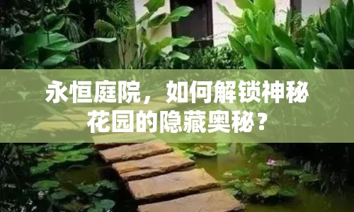 永恒庭院，如何解鎖神秘花園的隱藏奧秘？