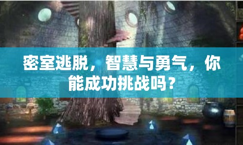 密室逃脫，智慧與勇氣，你能成功挑戰(zhàn)嗎？