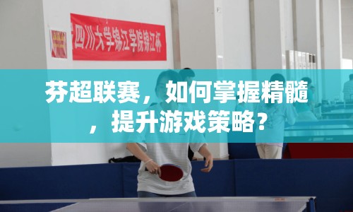 芬超聯(lián)賽，如何掌握精髓，提升游戲策略？