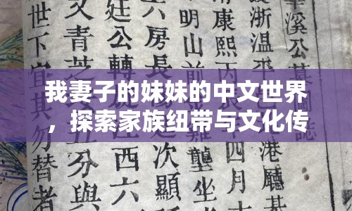 我妻子的妹妹的中文世界，探索家族紐帶與文化傳承