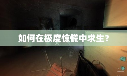 如何在極度驚慌中求生？
