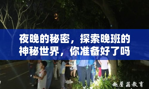 夜晚的秘密，探索晚班的神秘世界，你準(zhǔn)備好了嗎？