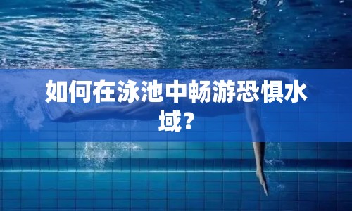 如何在泳池中暢游恐懼水域？