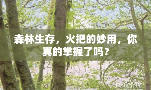 森林生存，火把的妙用，你真的掌握了嗎？
