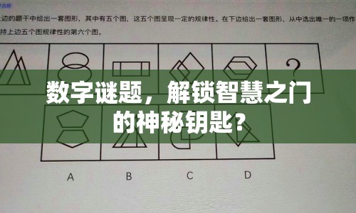 數(shù)字謎題，解鎖智慧之門的神秘鑰匙？