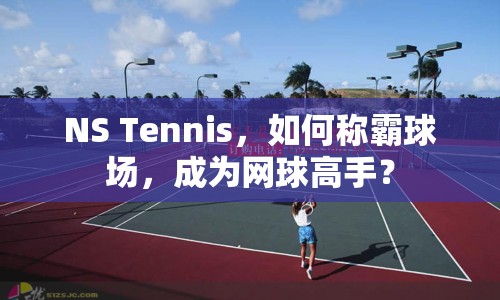 NS Tennis，如何稱霸球場，成為網(wǎng)球高手？