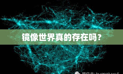 鏡像世界真的存在嗎？