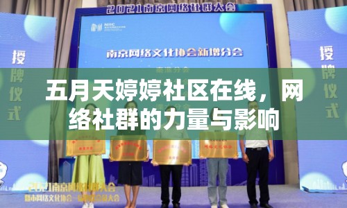 五月天婷婷社區(qū)在線，網(wǎng)絡(luò)社群的力量與影響