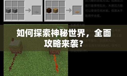 如何探索神秘世界，全面攻略來襲？