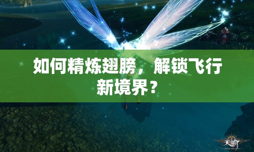 如何精煉翅膀，解鎖飛行新境界？