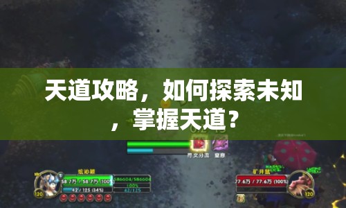 天道攻略，如何探索未知，掌握天道？