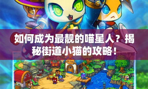 如何成為最靚的喵星人？揭秘街道小貓的攻略！
