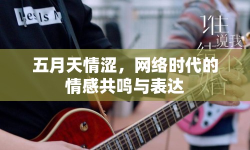 五月天情澀，網(wǎng)絡(luò)時(shí)代的情感共鳴與表達(dá)