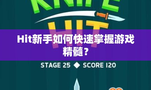 Hit新手如何快速掌握游戲精髓？