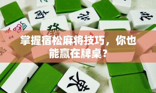 掌握宿松麻將技巧，你也能贏在牌桌？