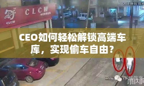 CEO如何輕松解鎖高端車庫(kù)，實(shí)現(xiàn)偷車自由？