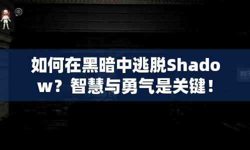 如何在黑暗中逃脫Shadow？智慧與勇氣是關(guān)鍵！