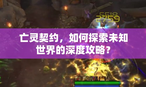 亡靈契約，如何探索未知世界的深度攻略？