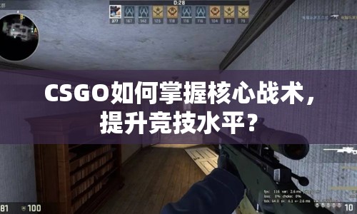 CSGO如何掌握核心戰(zhàn)術(shù)，提升競技水平？