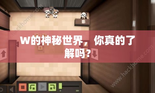 W的神秘世界，你真的了解嗎？