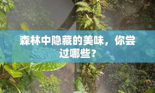 森林中隱藏的美味，你嘗過(guò)哪些？