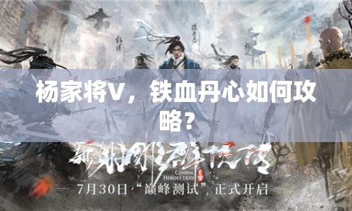 楊家將V，鐵血丹心如何攻略？