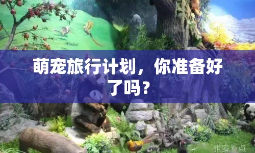 萌寵旅行計(jì)劃，你準(zhǔn)備好了嗎？