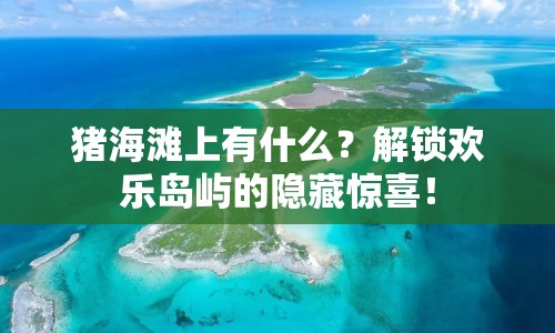豬海灘上有什么？解鎖歡樂島嶼的隱藏驚喜！