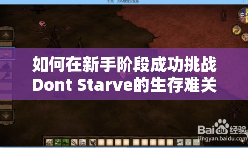 如何在新手階段成功挑戰(zhàn)Dont Starve的生存難關？