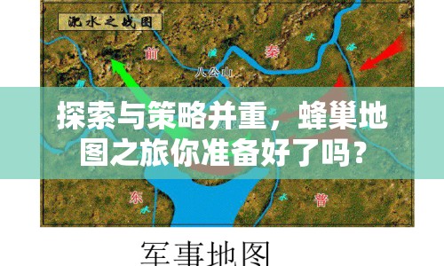 探索與策略并重，蜂巢地圖之旅你準(zhǔn)備好了嗎？