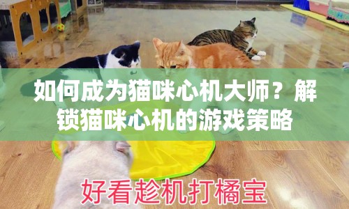 如何成為貓咪心機大師？解鎖貓咪心機的游戲策略