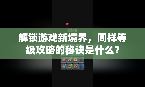 解鎖游戲新境界，同樣等級攻略的秘訣是什么？