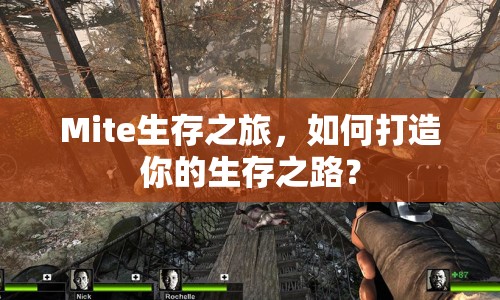 Mite生存之旅，如何打造你的生存之路？