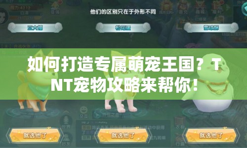 如何打造專屬萌寵王國？TNT寵物攻略來幫你！