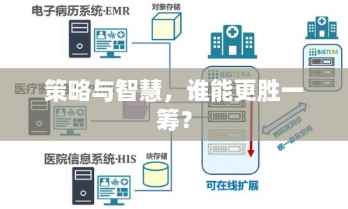 策略與智慧，誰(shuí)能更勝一籌？