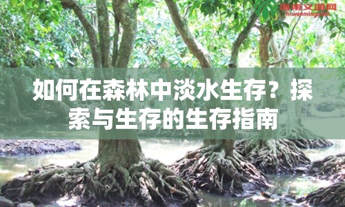 如何在森林中淡水生存？探索與生存的生存指南