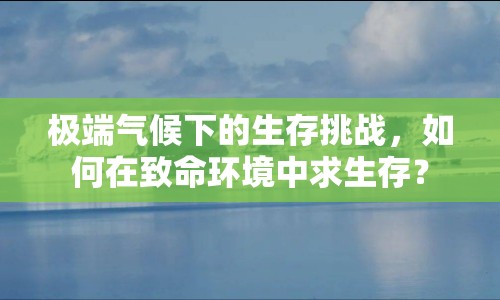 極端氣候下的生存挑戰(zhàn)，如何在致命環(huán)境中求生存？