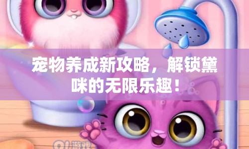 寵物養(yǎng)成新攻略，解鎖黛咪的無(wú)限樂(lè)趣！