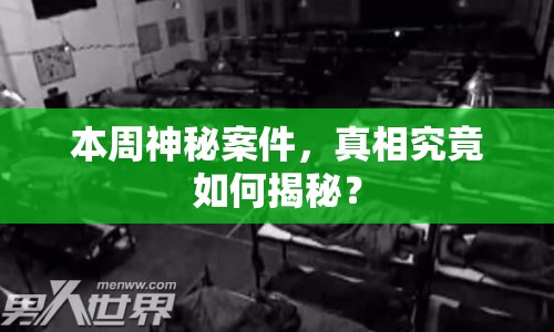 本周神秘案件，真相究竟如何揭秘？