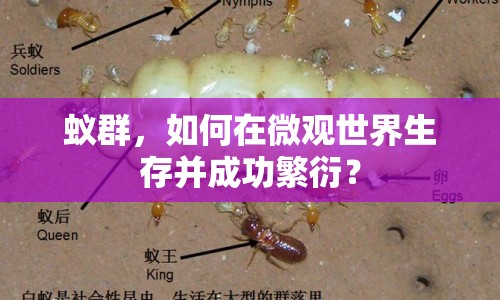 蟻群，如何在微觀世界生存并成功繁衍？