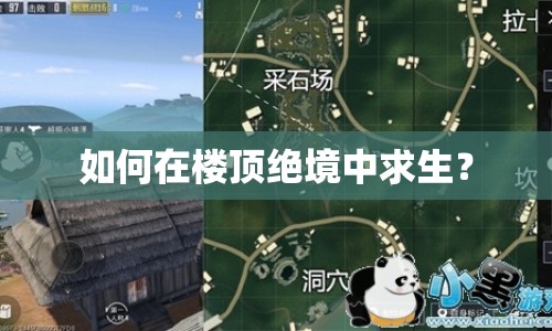 如何在樓頂絕境中求生？